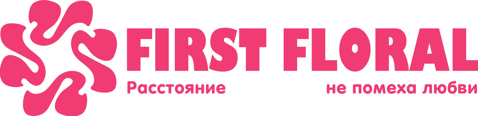 First Floral в Камызяке
